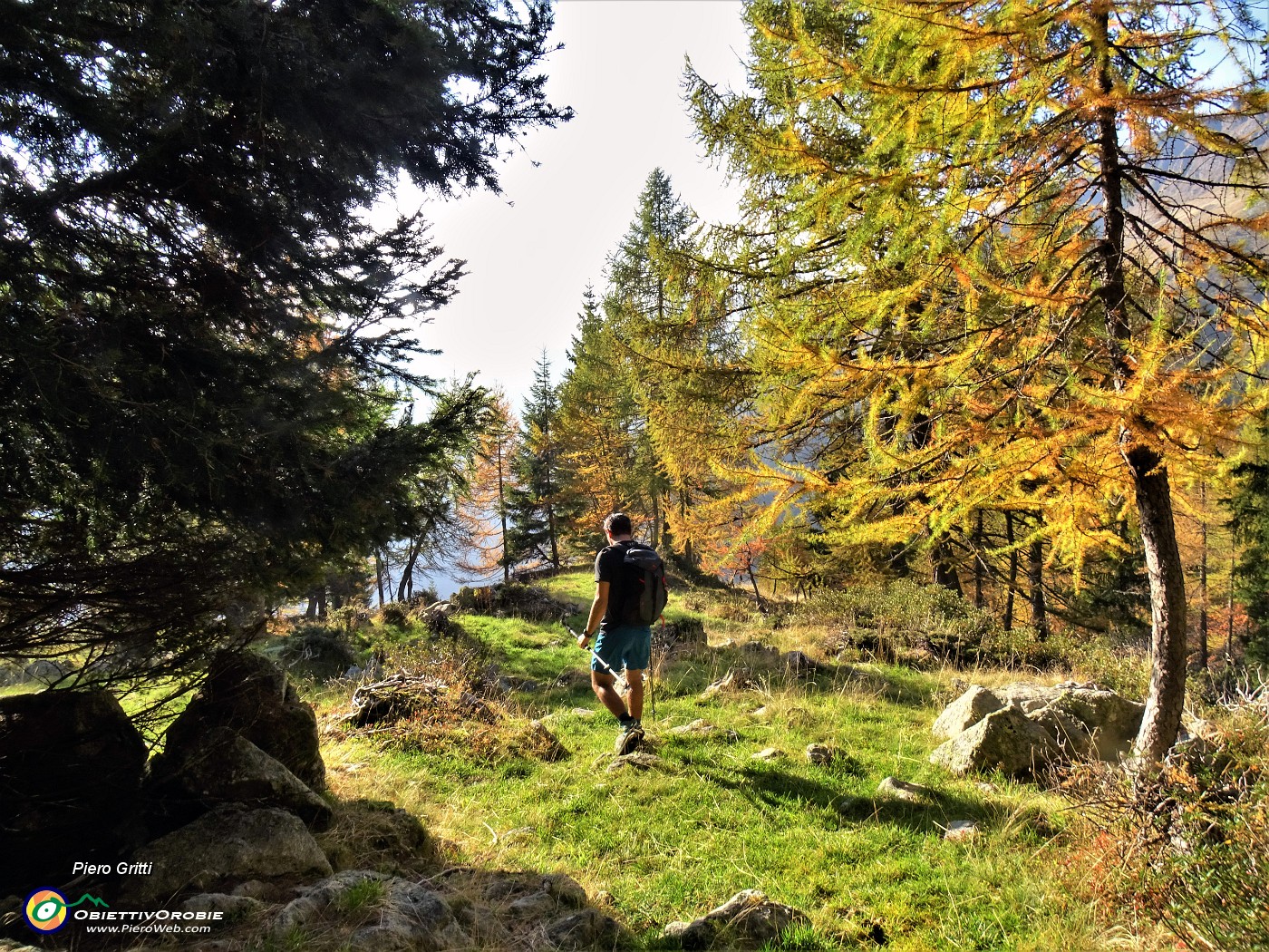 73 Proseguiamo la discesa su sentiero tra lariceti colorati d'autunno.JPG -                                